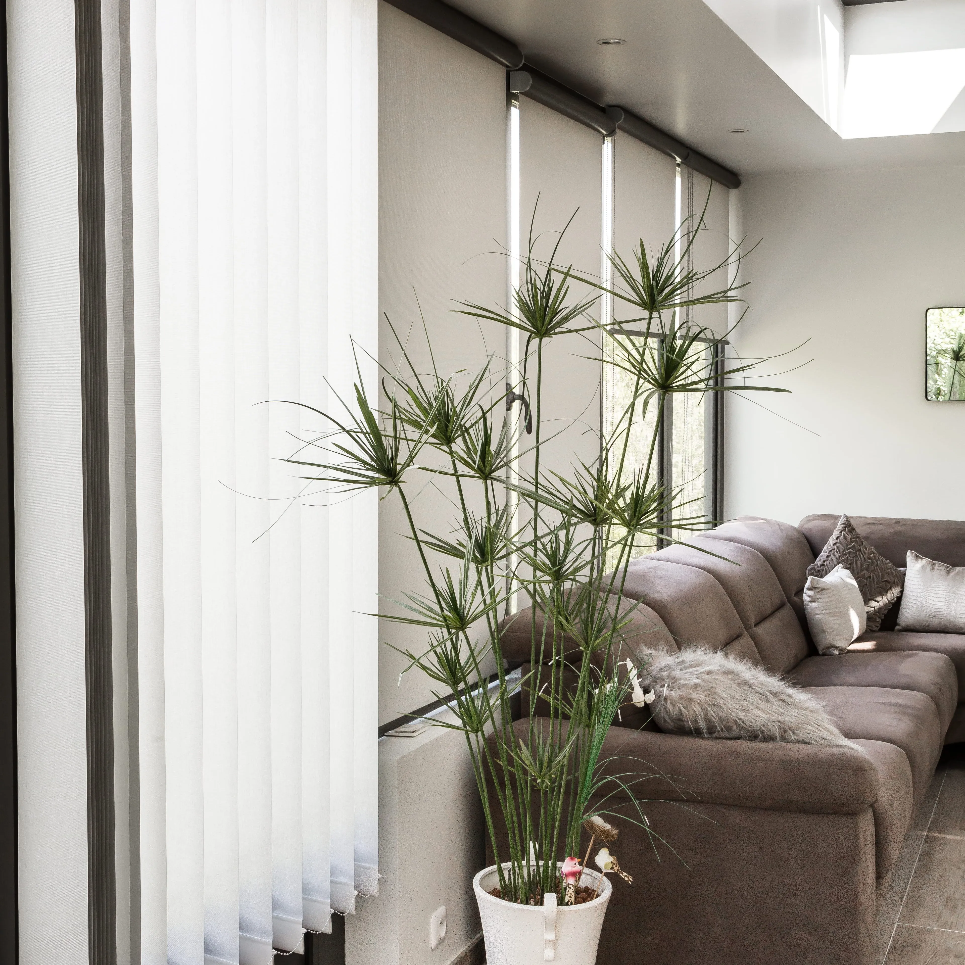 store de protection solaire