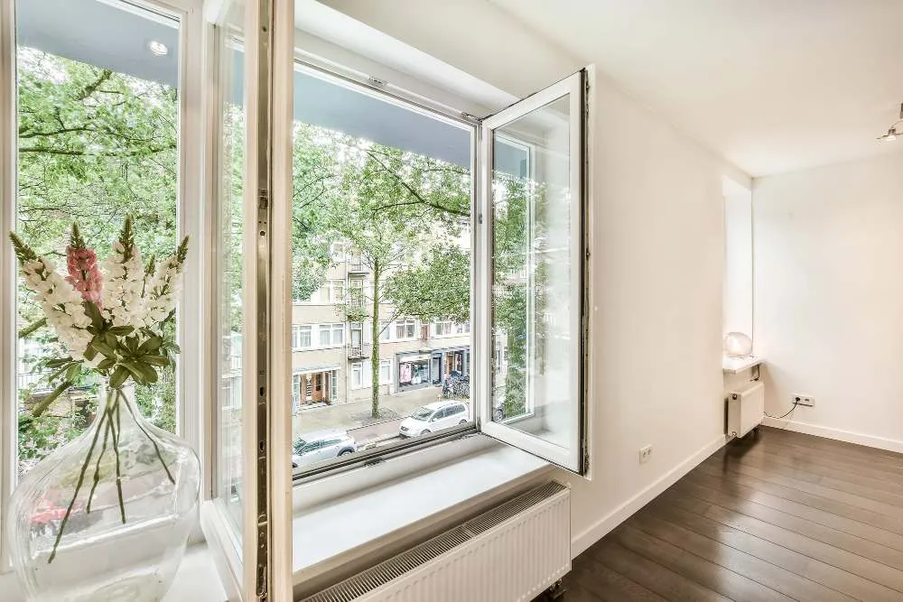 fenêtre salon