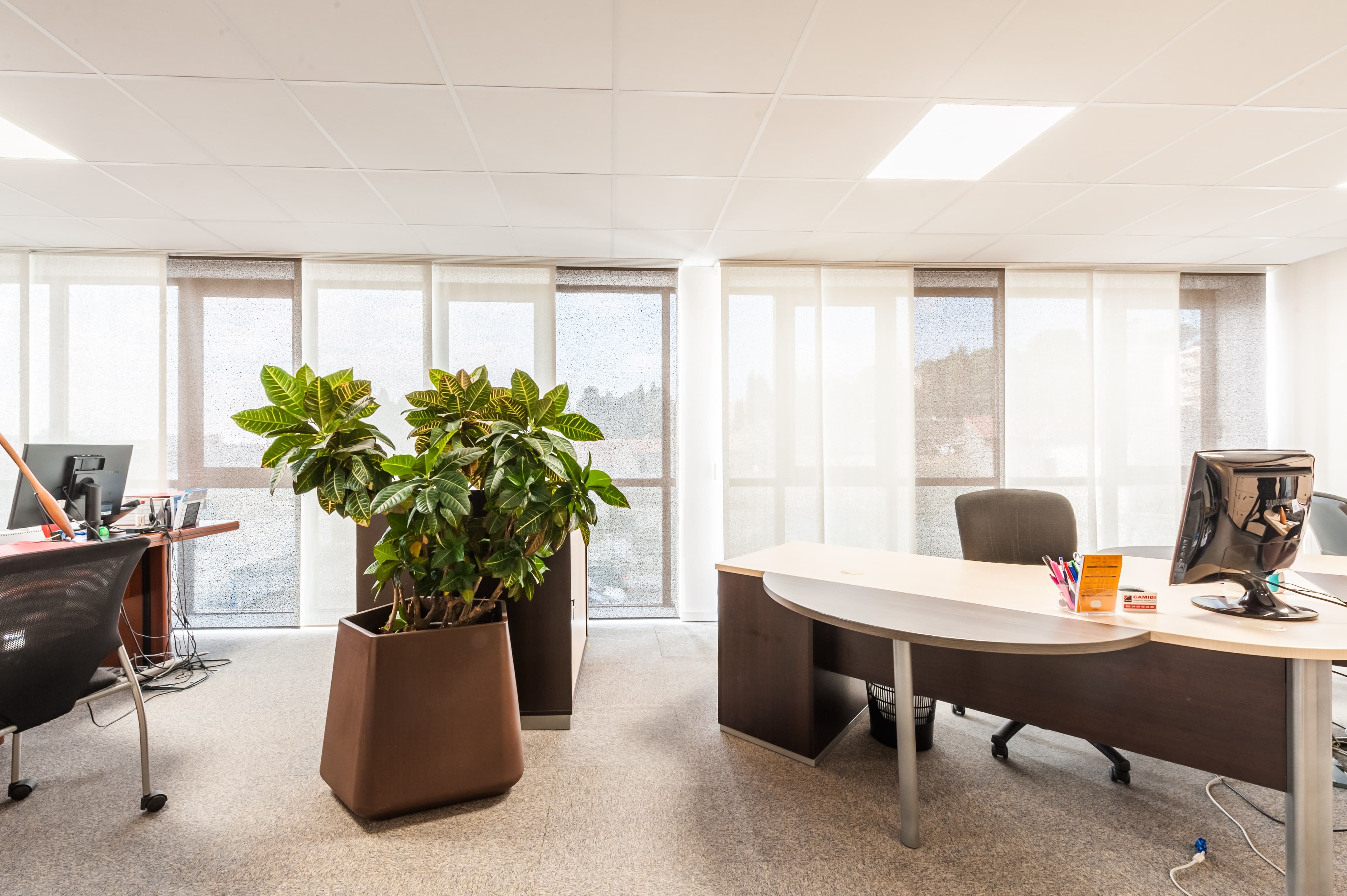 parois japonaises dans des bureaux